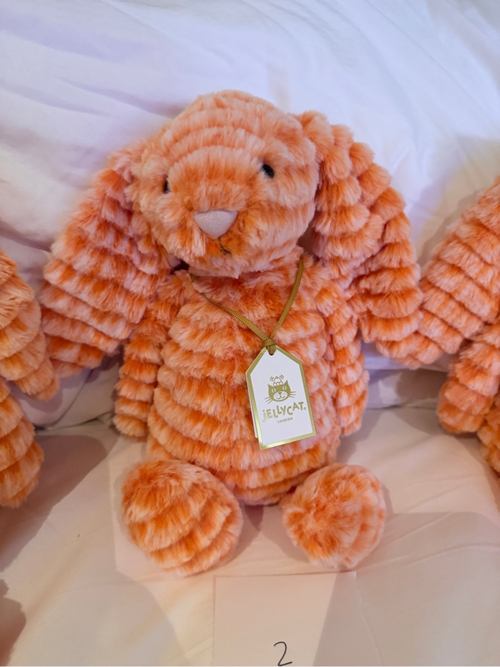 Jellycat Fizzleskip Bunny - Independent EU and UK Stores Only - Picture 7 of 9